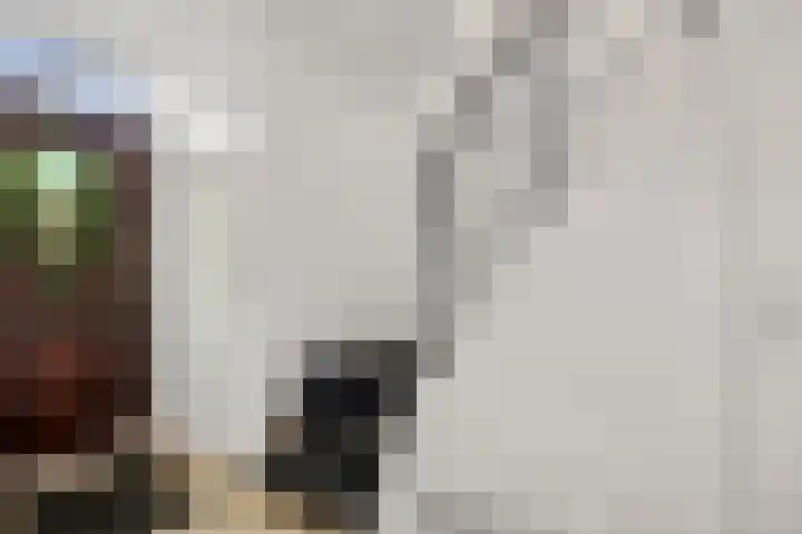 Dr. Poolmanstraat 12 Ter Apel thumbnail 6