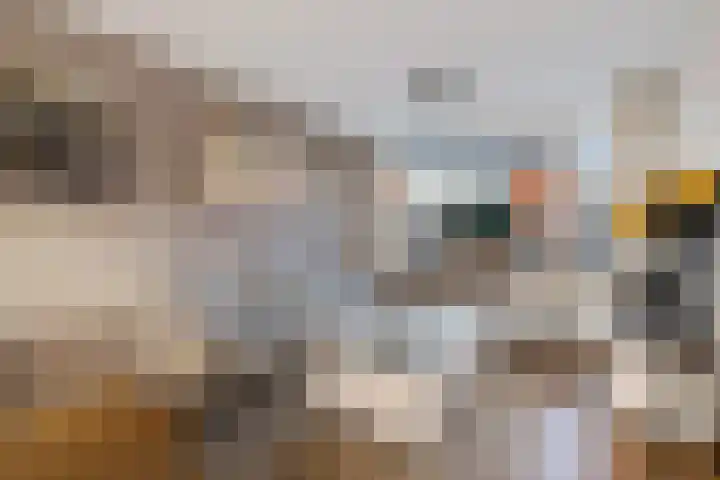 Dr. Poolmanstraat 12 Ter Apel thumbnail 7