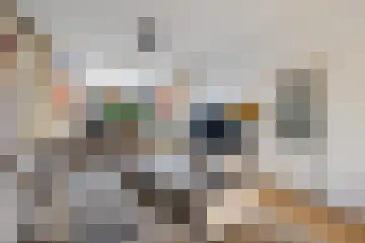 Dr. Poolmanstraat 12 Ter Apel thumbnail 8