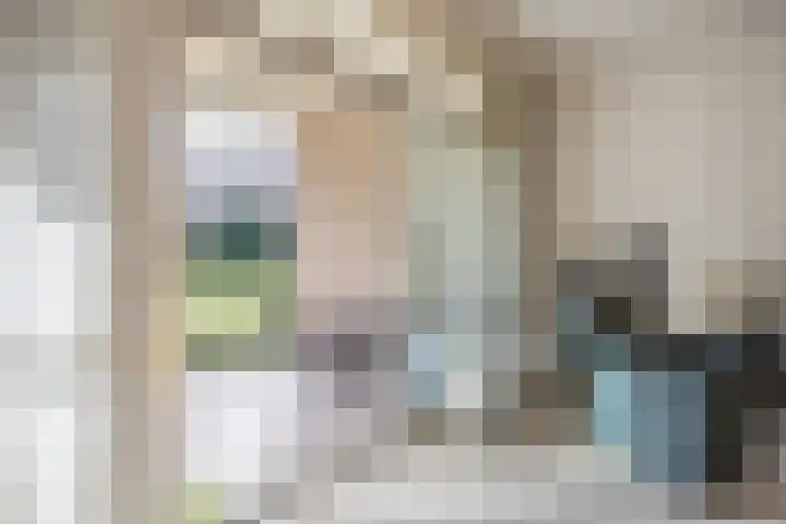 Dr. Schaepmanlaan 13 Breda thumbnail 21