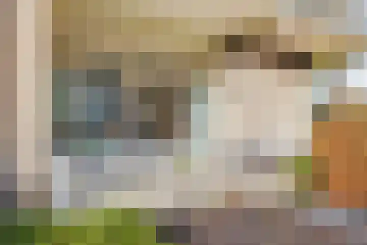 Dr. Schaepmanlaan 13 Breda thumbnail 23