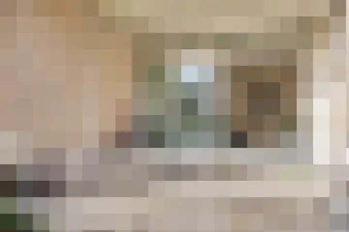 Dr. Schaepmanlaan 13 Breda thumbnail 24