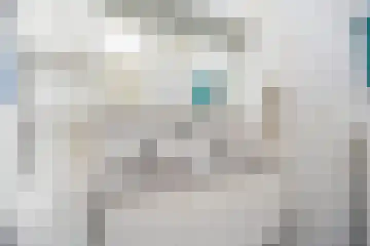 Dr. Schaepmanlaan 13 Breda thumbnail 33