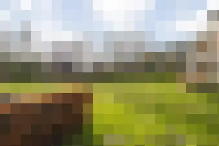 Dr. Schaepmanlaan 13 Breda thumbnail 41