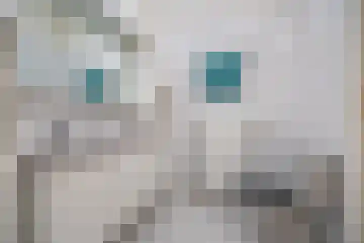 Dr. Schaepmanlaan 13 Breda thumbnail 5