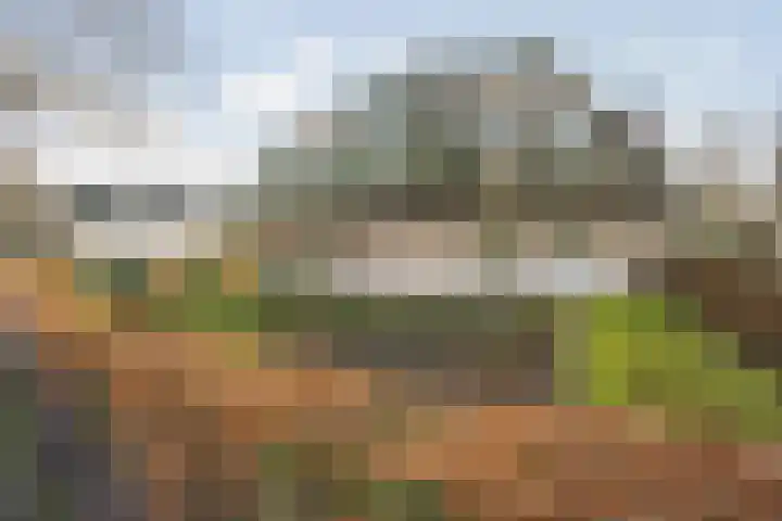 Dr. Schaepmanlaan 13 Breda thumbnail 6