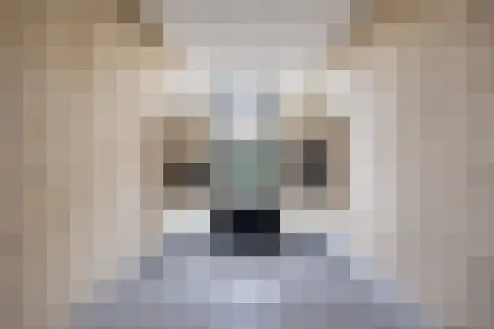 Dr. Schaepmanlaan 13 Breda thumbnail 9