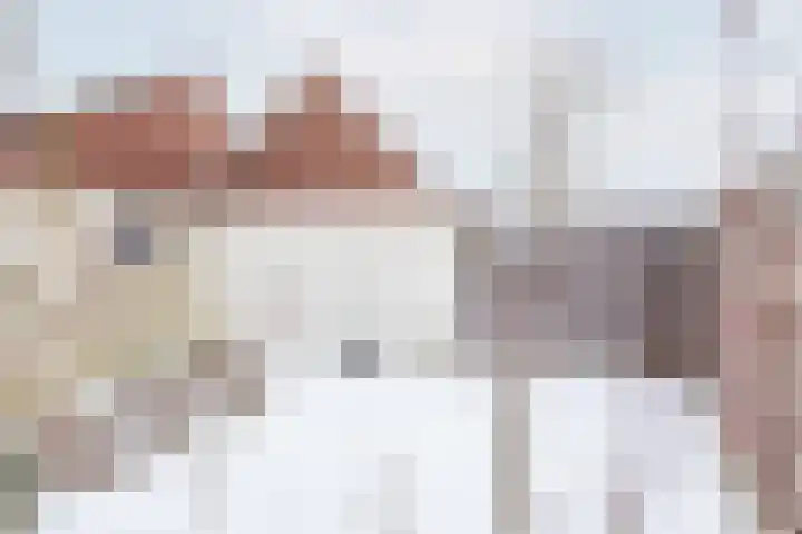 Dr Schaepmanstraat 48 Ulft thumbnail 35