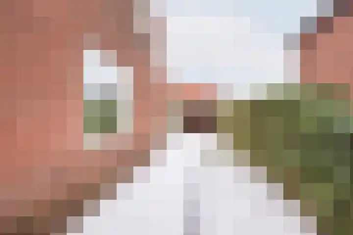 Dr Schaepmanstraat 48 Ulft thumbnail 38