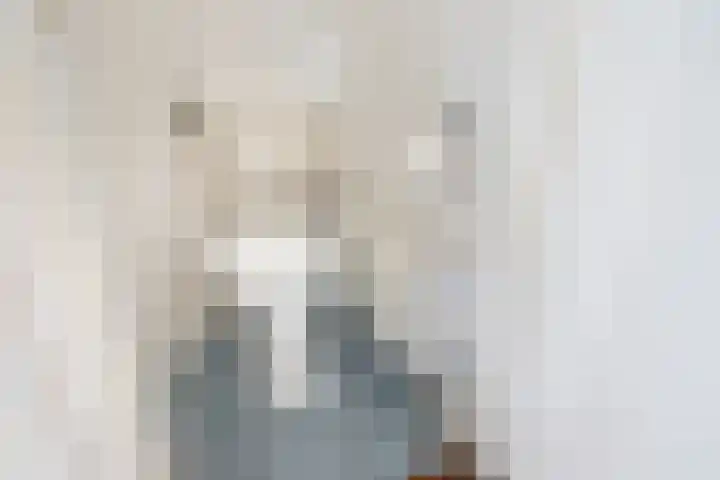 Dr Schaepmanstraat 48 Ulft thumbnail 9