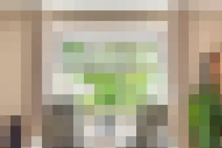 Dr Schaepmanstraat 7 Ulft thumbnail 12