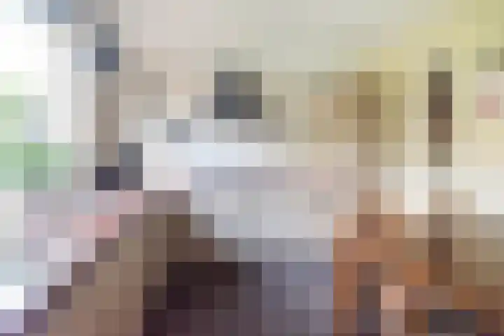 Dr Schaepmanstraat 7 Ulft thumbnail 16