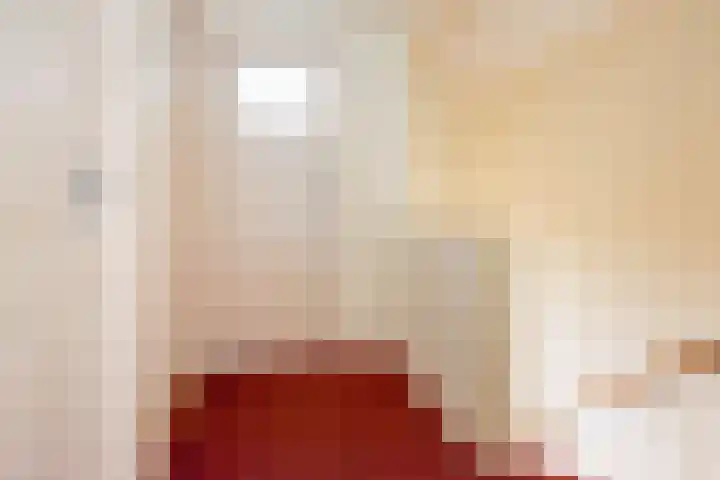 Dr Schaepmanstraat 7 Ulft thumbnail 21