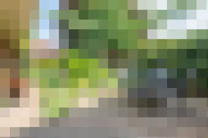 Dr Schaepmanstraat 7 Ulft thumbnail 33