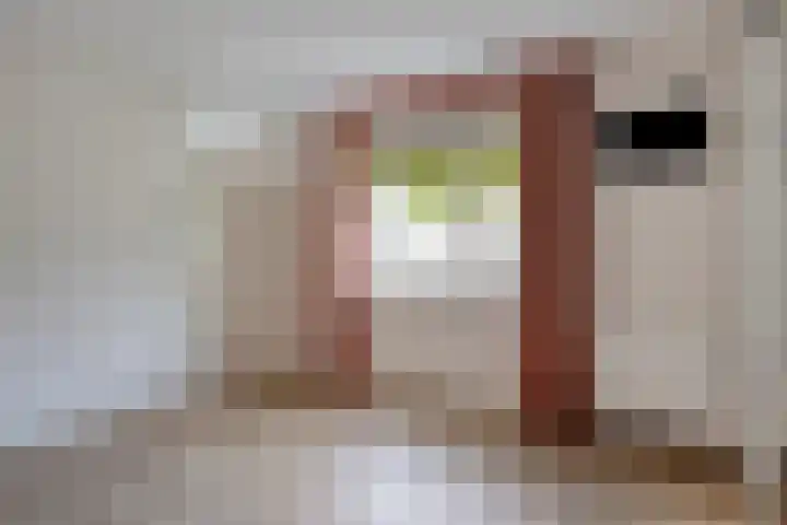 Dr. van der Steenlaan 10 Oss thumbnail 15