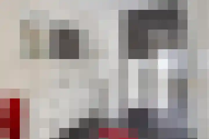 Dr. van der Steenlaan 10 Oss thumbnail 16