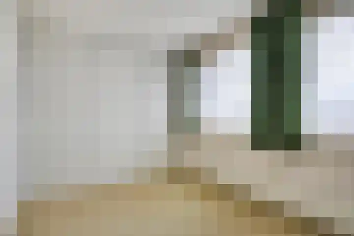 Dr. van der Steenlaan 10 Oss thumbnail 19