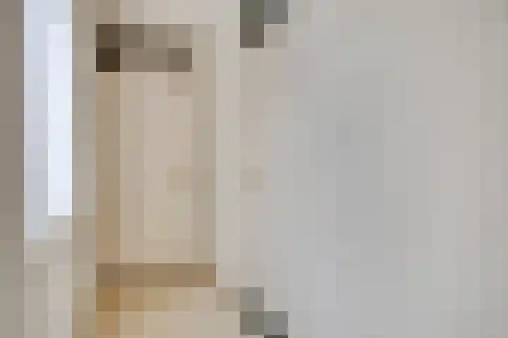 Dr. van der Steenlaan 10 Oss thumbnail 21