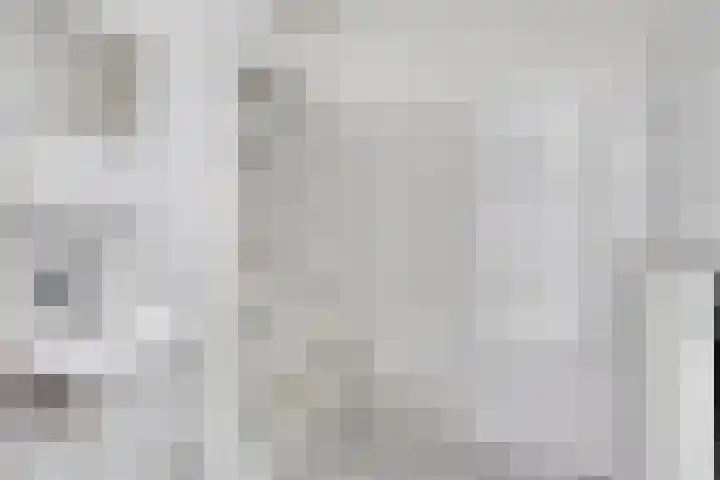 Dr. van der Steenlaan 10 Oss thumbnail 22