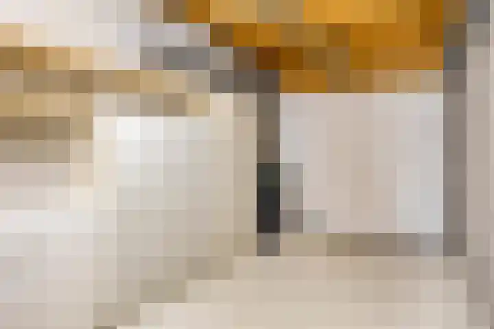 Dr. van der Steenlaan 10 Oss thumbnail 26