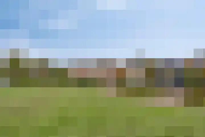Dr. van der Steenlaan 10 Oss thumbnail 32