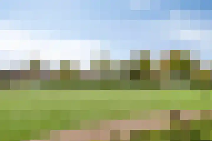 Dr. van der Steenlaan 10 Oss thumbnail 33