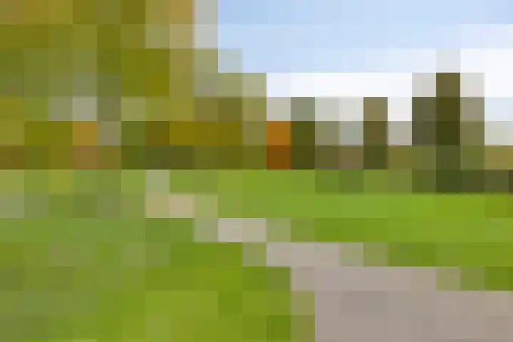 Dr. van der Steenlaan 10 Oss thumbnail 34
