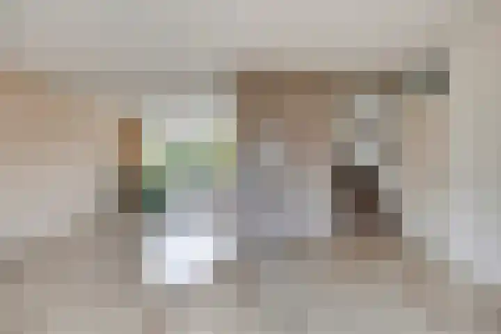 Dr. van der Steenlaan 10 Oss thumbnail 4