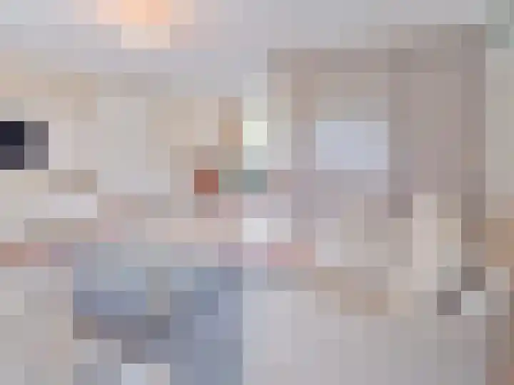 Dr. van der Steenlaan 10 Oss thumbnail 6