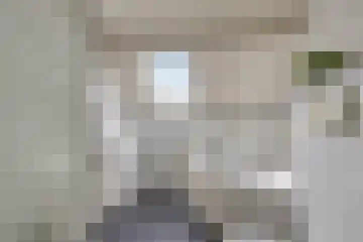 Dr vd Broekstraat 18 Cuijk thumbnail 27