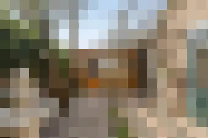 Dr vd Broekstraat 18 Cuijk thumbnail 33
