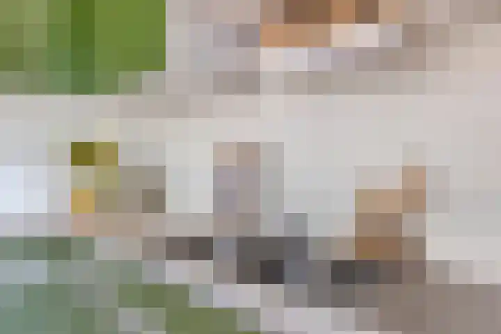 Dr. Verbeeksingel 2 Veghel thumbnail 15