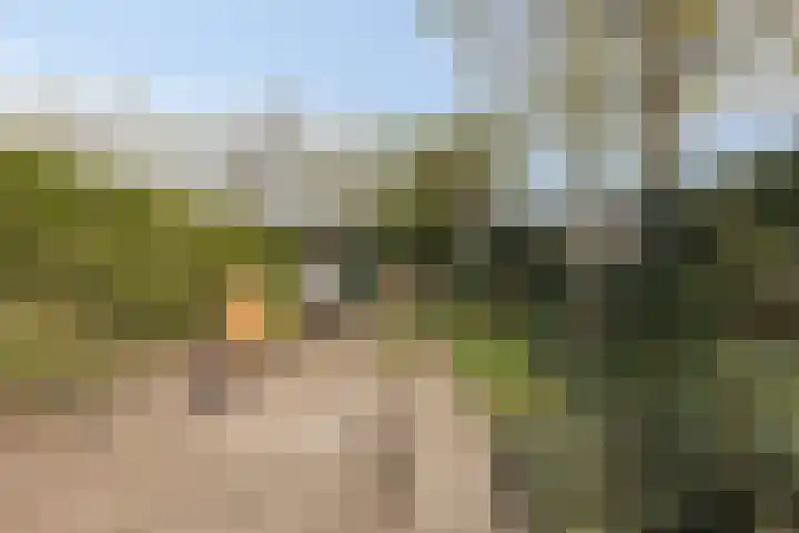 Dr. Verbeeksingel 2 Veghel thumbnail 38