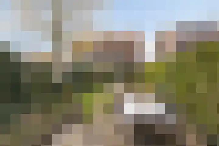 Dr. Verbeeksingel 2 Veghel thumbnail 41