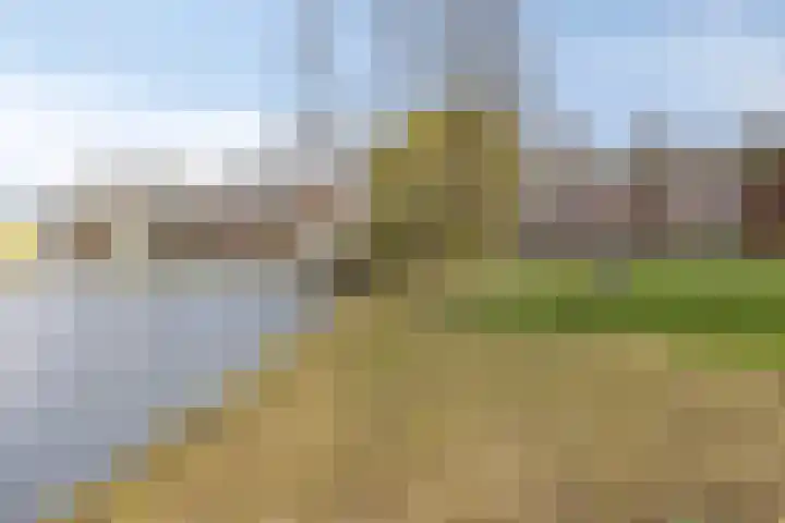 Dr. Verbeeksingel 2 Veghel thumbnail 47