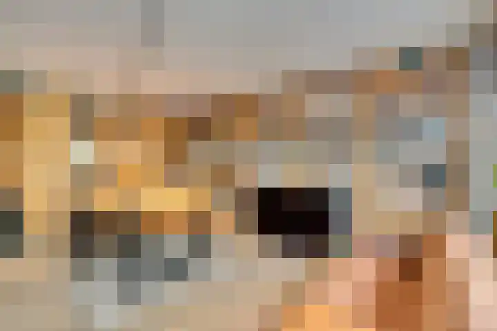 Dr.W.Dreeslaan 10 Goes thumbnail 16
