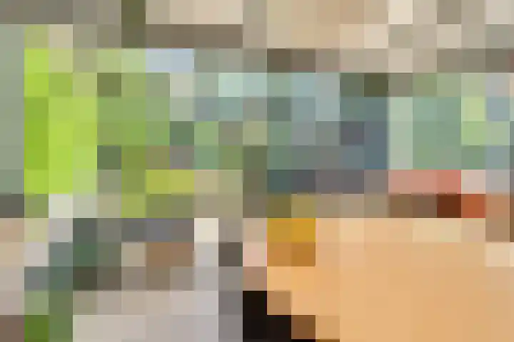 Dr.W.Dreeslaan 10 Goes thumbnail 22