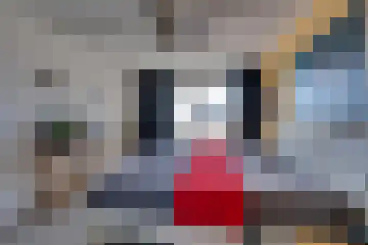 Dr.W.Dreeslaan 10 Goes thumbnail 30