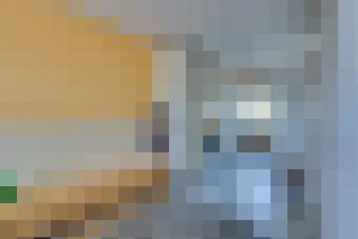 Dr.W.Dreeslaan 10 Goes thumbnail 34