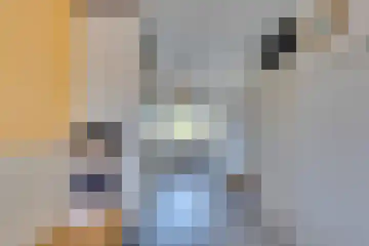 Dr.W.Dreeslaan 10 Goes thumbnail 35