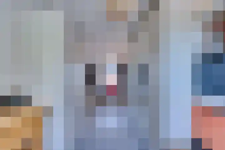 Dr.W.Dreeslaan 10 Goes thumbnail 38