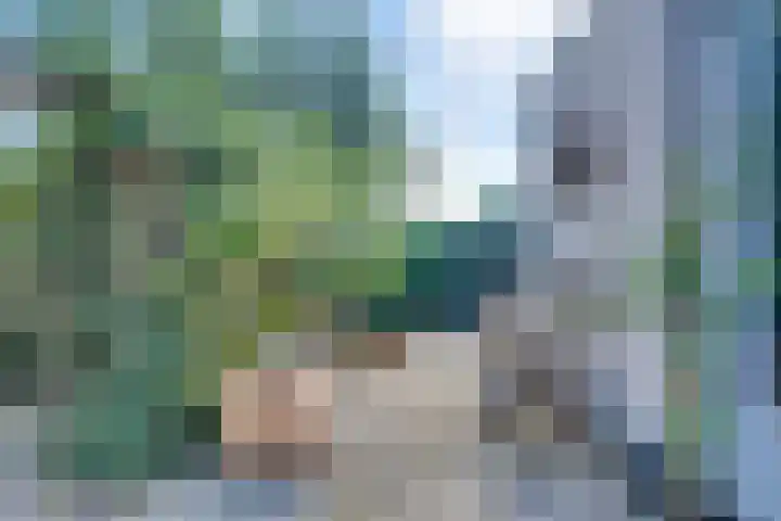 Dr.W.Dreeslaan 10 Goes thumbnail 43