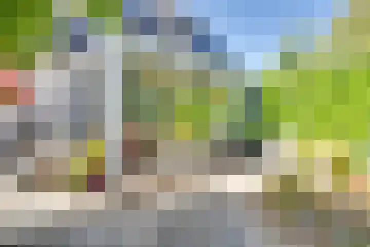 Dr.W.Dreeslaan 10 Goes thumbnail 45