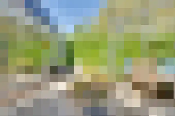 Dr.W.Dreeslaan 10 Goes thumbnail 46