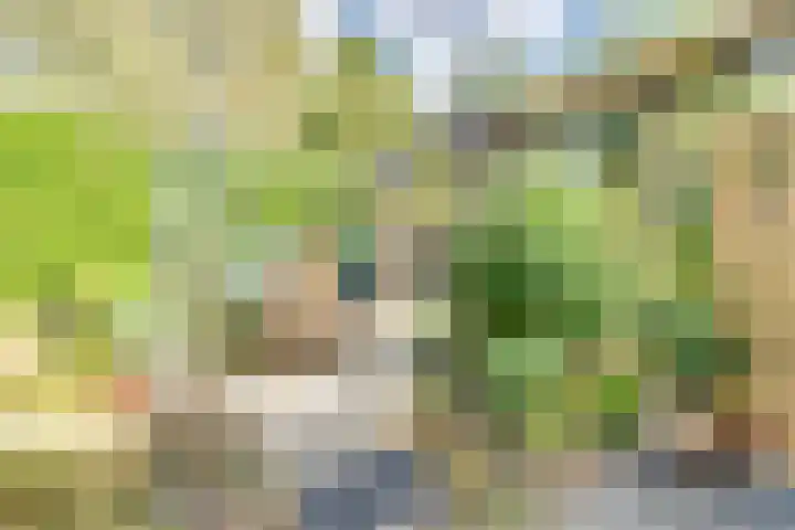Dr.W.Dreeslaan 10 Goes thumbnail 48