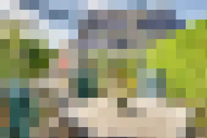 Dr.W.Dreeslaan 10 Goes thumbnail 49
