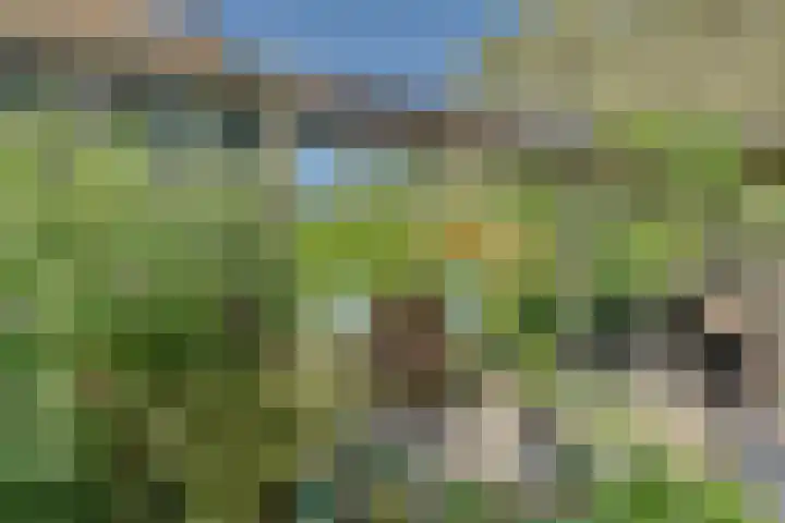 Dr.W.Dreeslaan 10 Goes thumbnail 51