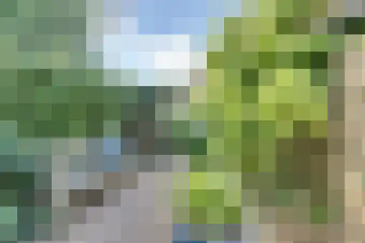 Dr.W.Dreeslaan 10 Goes thumbnail 53
