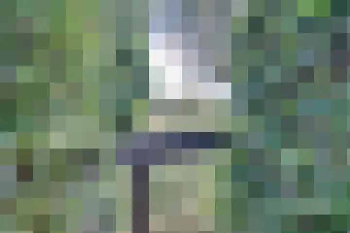 Dr.W.Dreeslaan 10 Goes thumbnail 54