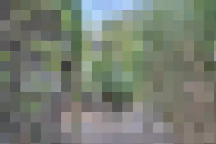 Dr.W.Dreeslaan 10 Goes thumbnail 55